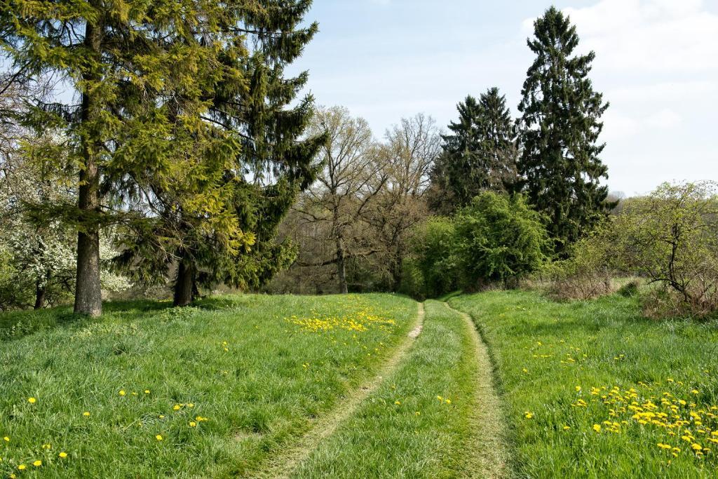 Hotel Entre Nous Rozoy-sur-Serre Zewnętrze zdjęcie