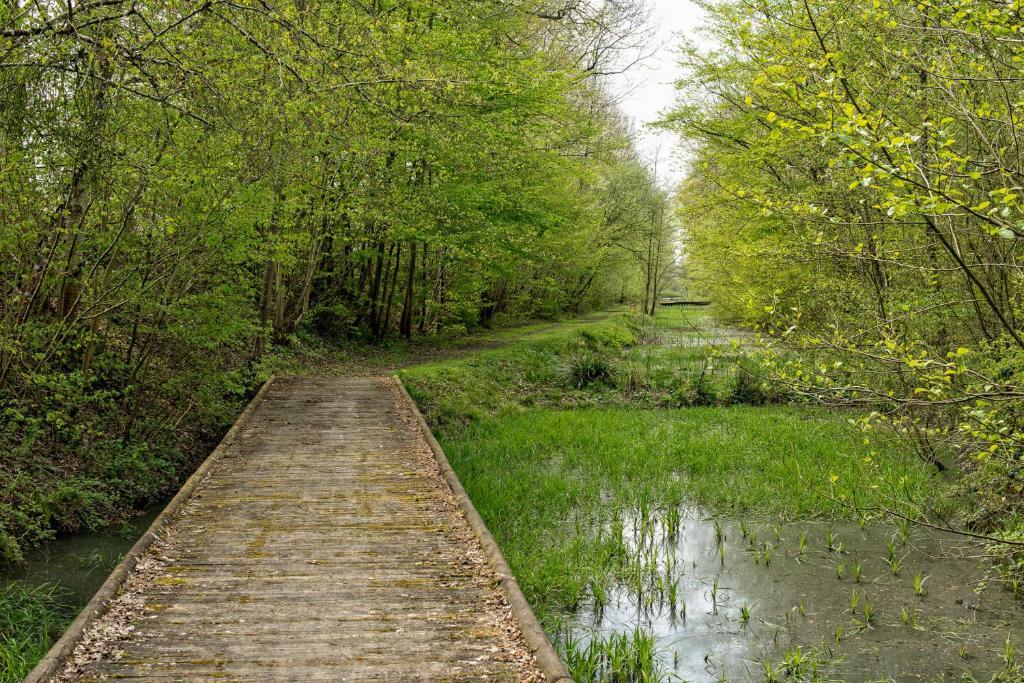 Hotel Entre Nous Rozoy-sur-Serre Zewnętrze zdjęcie